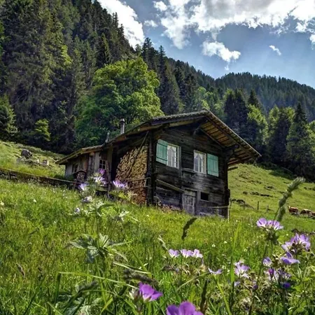 Kirschbaumhuette By Interhome Vakantiehuis *